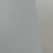 Load image into Gallery viewer, Sony PlayStation 5 White 825GB