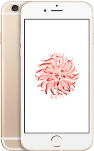 iPhone 6 16GB Gold (Verizon Unlocked)