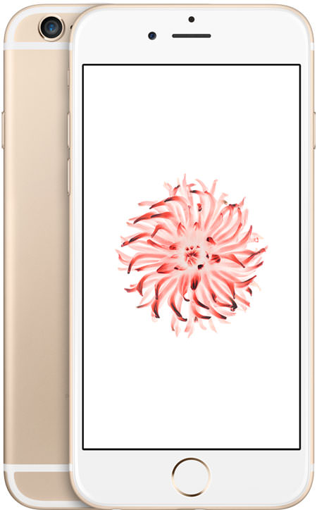 iPhone 6 32GB Gold (GSM Unlocked)