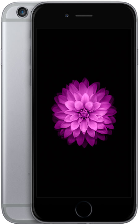 iPhone 6 64GB Space Gray (GSM Unlocked)