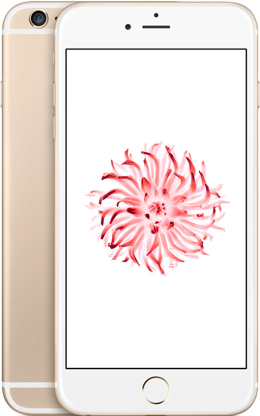 iPhone 6 Plus 16GB Gold (GSM Unlocked)