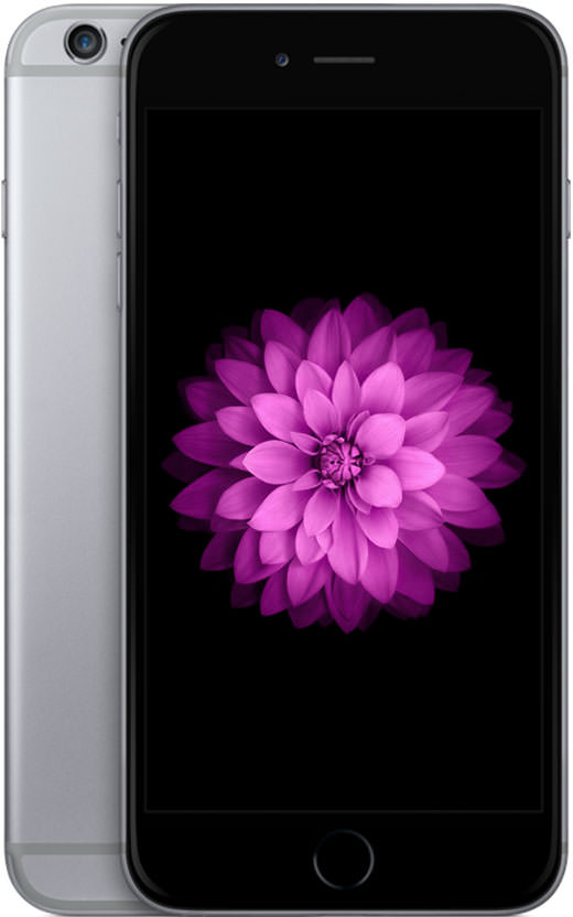iPhone 6 Plus 64GB Space Gray (Verizon Unlocked)